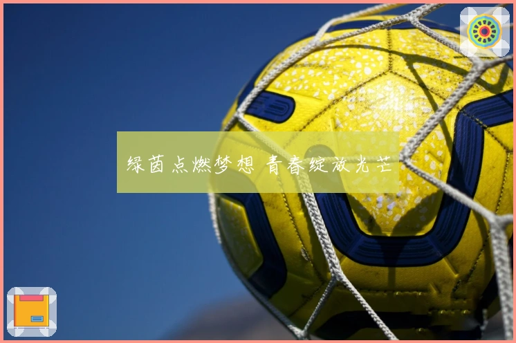 绿茵点燃梦想 青春绽放光芒